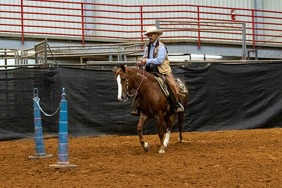 NewPartnerMustang-183