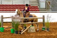 NewPartnerMustang-7