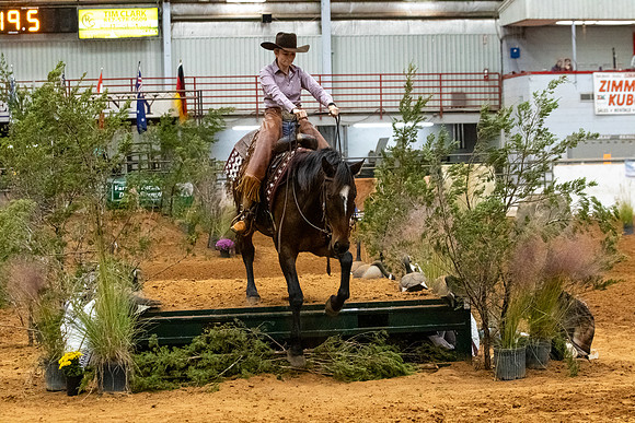 NewPartnerMustang-142