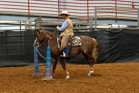 NewPartnerMustang-186