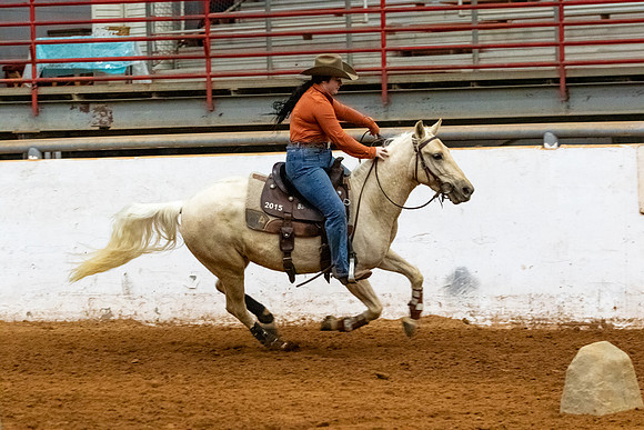 NewPartnerMustang-81