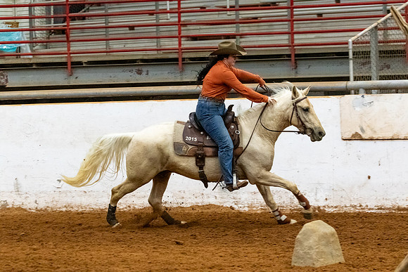 NewPartnerMustang-82