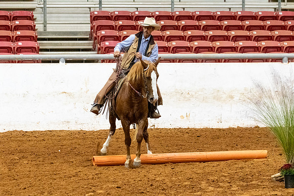 NewPartnerMustang-192