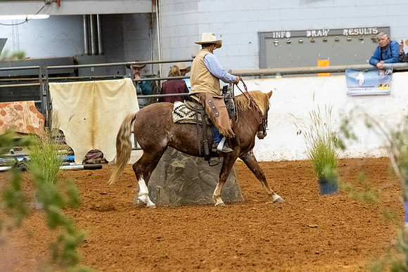 NewPartnerMustang-194