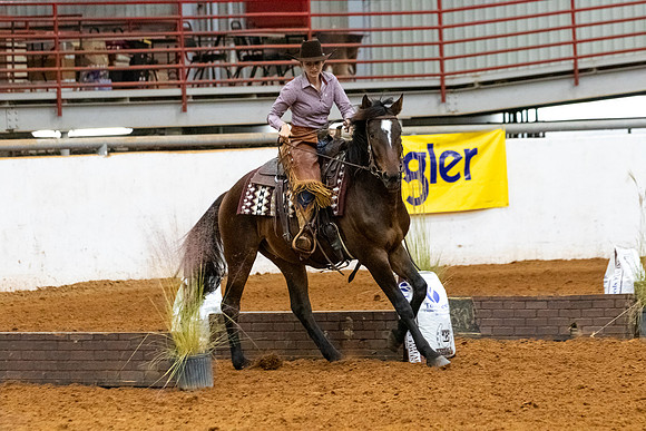 NewPartnerMustang-148