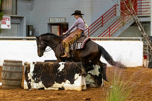 NewPartnerMustang-157