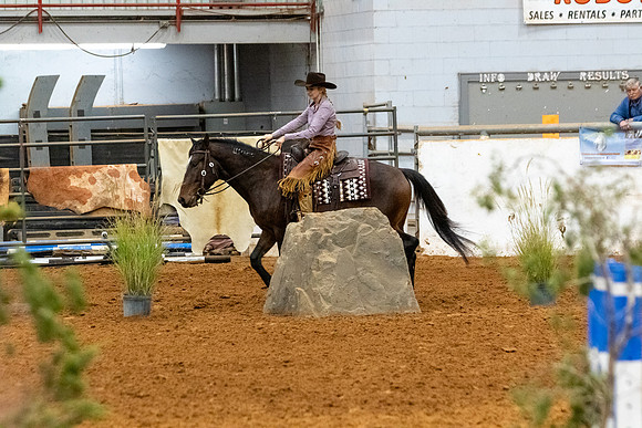 NewPartnerMustang-160
