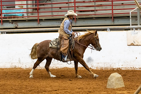 NewPartnerMustang-200