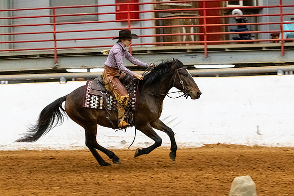 NewPartnerMustang-164