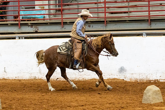 NewPartnerMustang-199