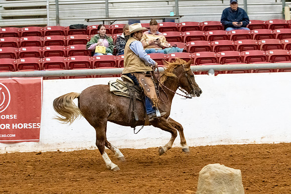 NewPartnerMustang-201