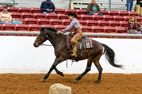 NewPartnerMustang-150