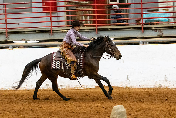 NewPartnerMustang-165