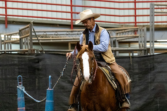 NewPartnerMustang-185