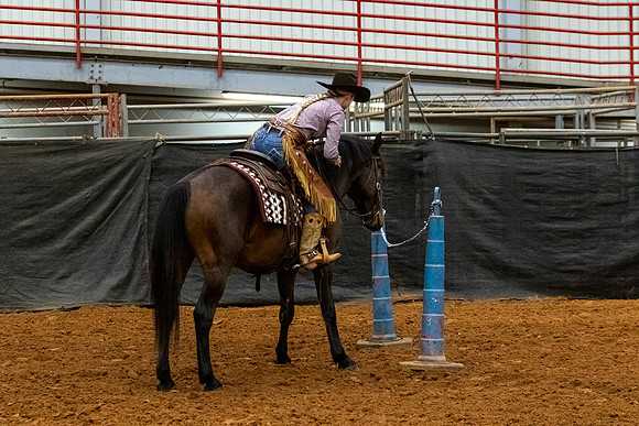 NewPartnerMustang-155