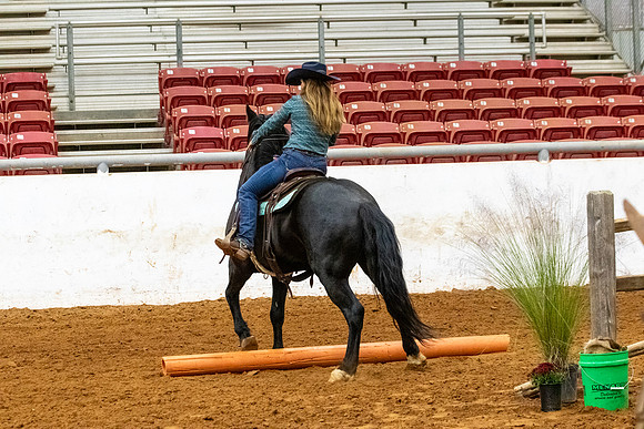 NewPartnerMustang-102