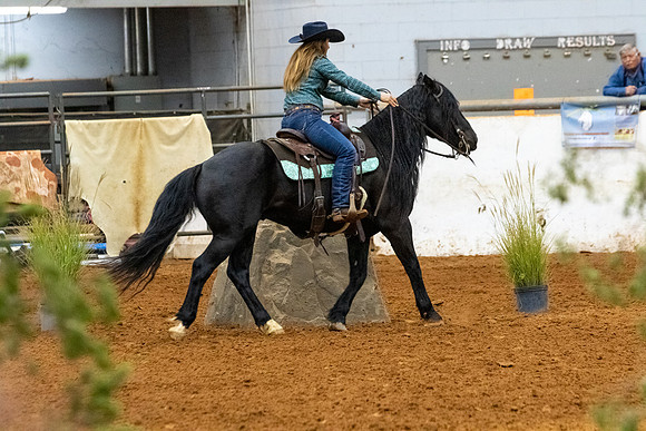 NewPartnerMustang-104