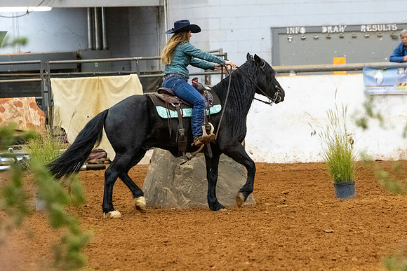 NewPartnerMustang-103