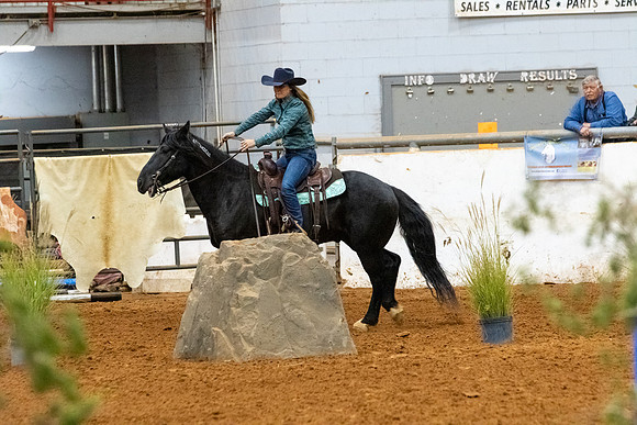 NewPartnerMustang-106