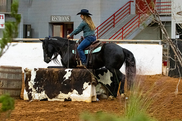 NewPartnerMustang-100