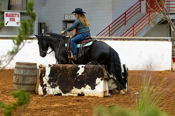 NewPartnerMustang-101