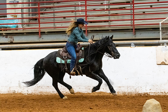 NewPartnerMustang-108