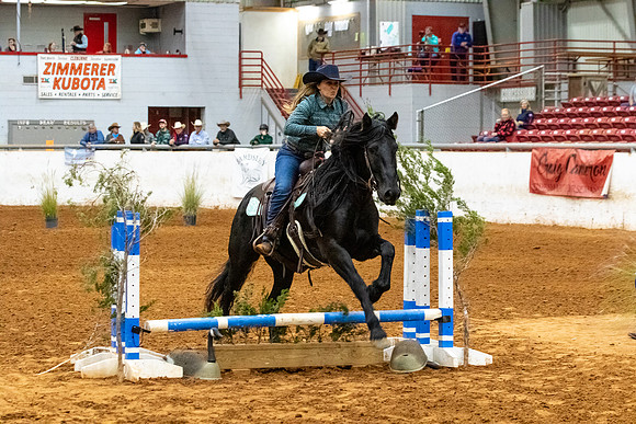 NewPartnerMustang-107