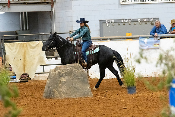 NewPartnerMustang-105