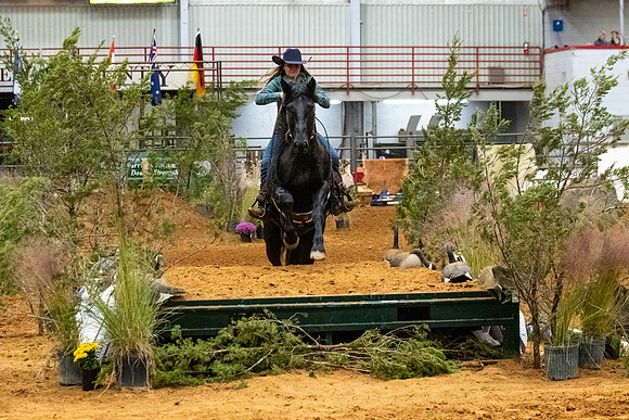 NewPartnerMustang-84