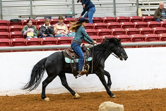 NewPartnerMustang-110