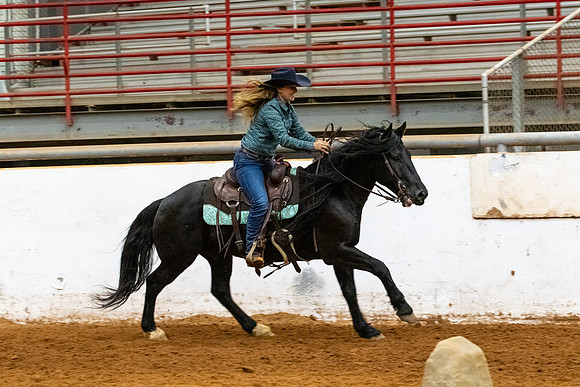 NewPartnerMustang-109