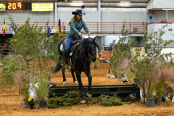 NewPartnerMustang-87