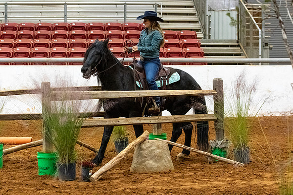 NewPartnerMustang-89