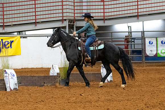 NewPartnerMustang-91