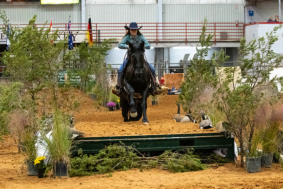 NewPartnerMustang-85