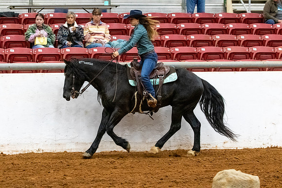NewPartnerMustang-93