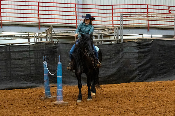 NewPartnerMustang-94