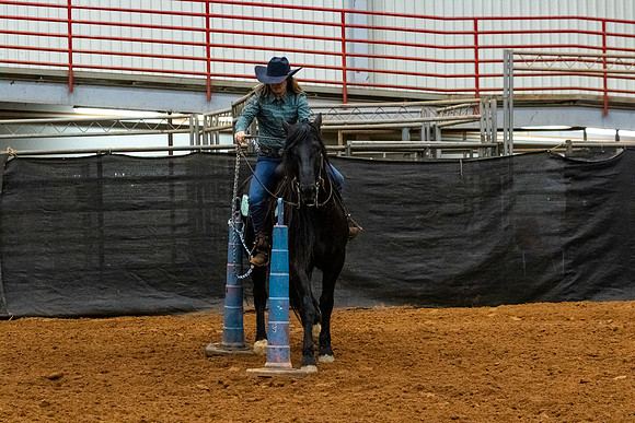 NewPartnerMustang-96