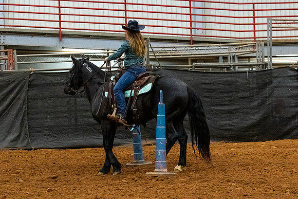 NewPartnerMustang-97