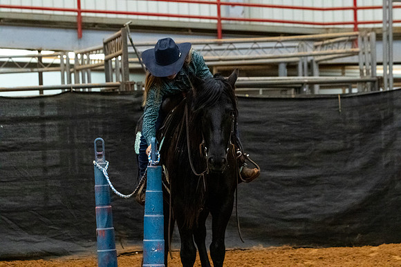 NewPartnerMustang-95