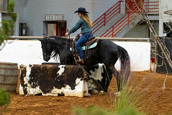 NewPartnerMustang-99