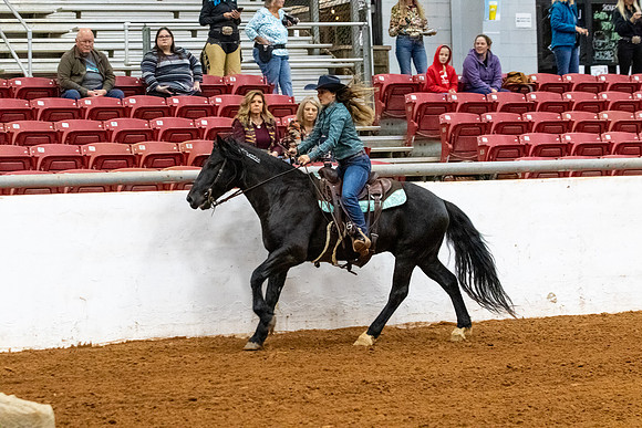 NewPartnerMustang-92