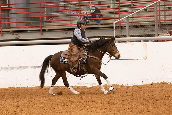 Mustang-1317