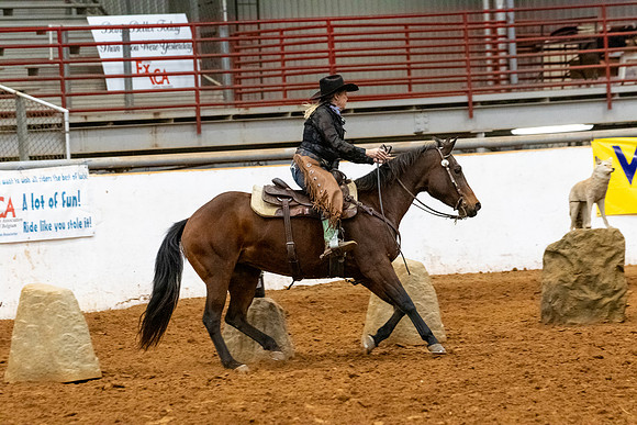 RSR2-495