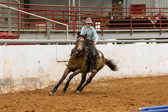 NonProR2-241