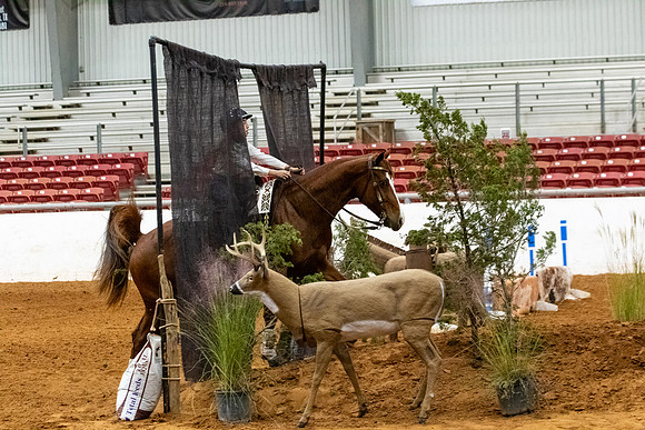 YGFinals-142