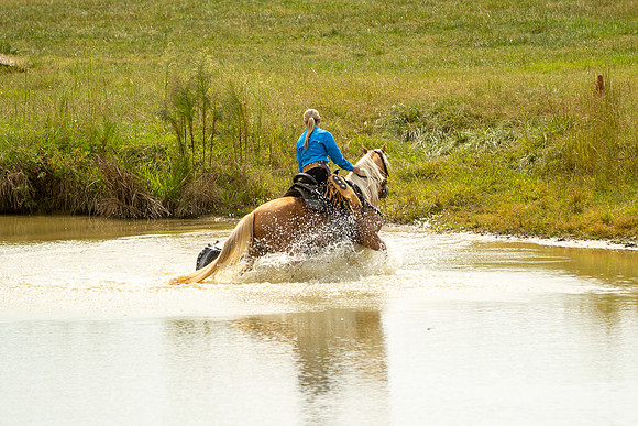 IMG_7829
