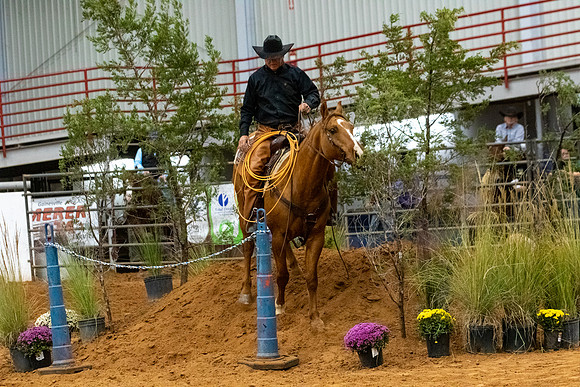 NonProFinals-65