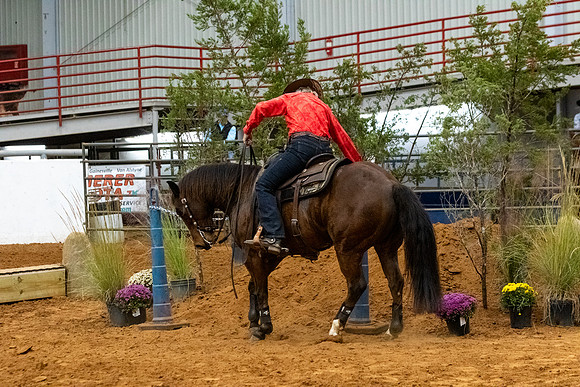 NonProFinals-101