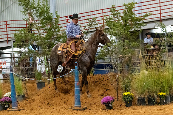 NonProFinals-162